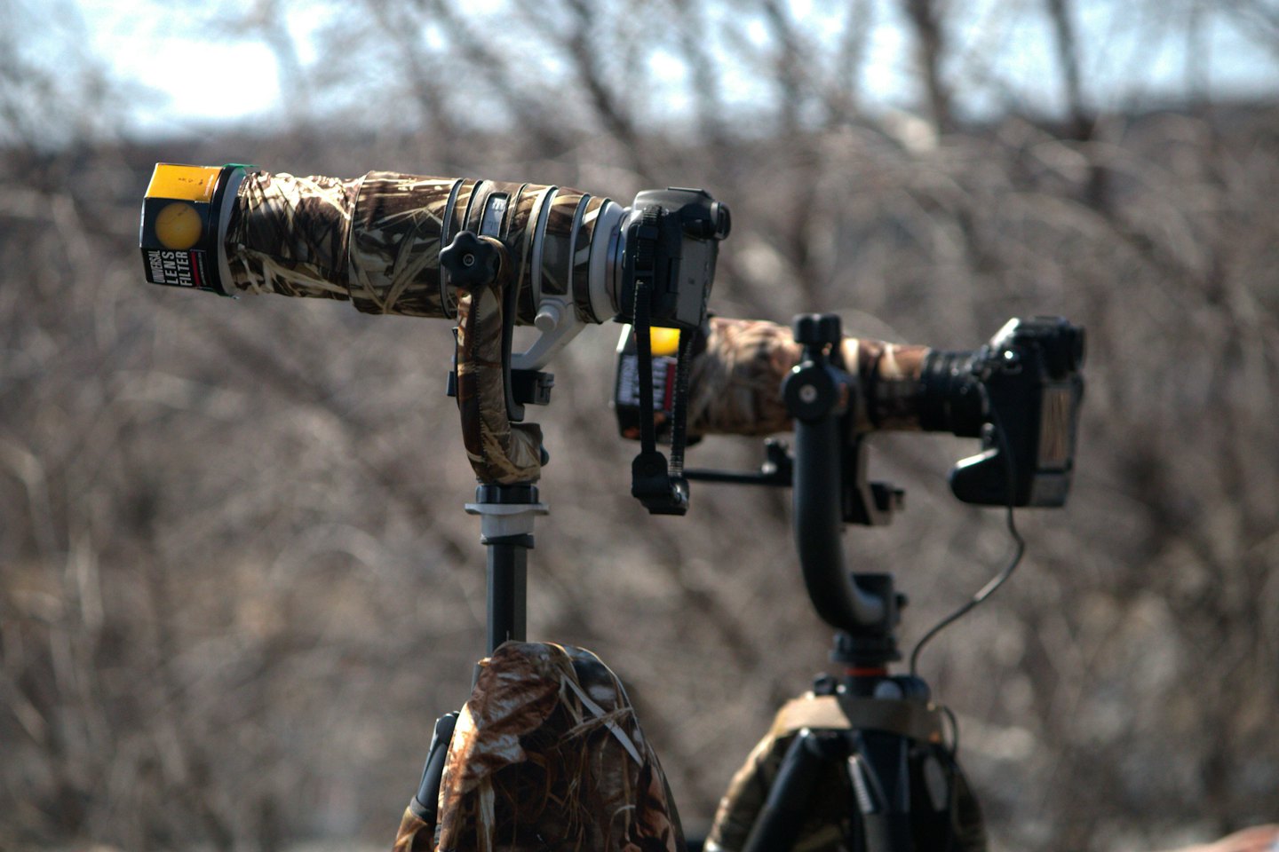 Two camouflaged professional cameras on tripods in trees.