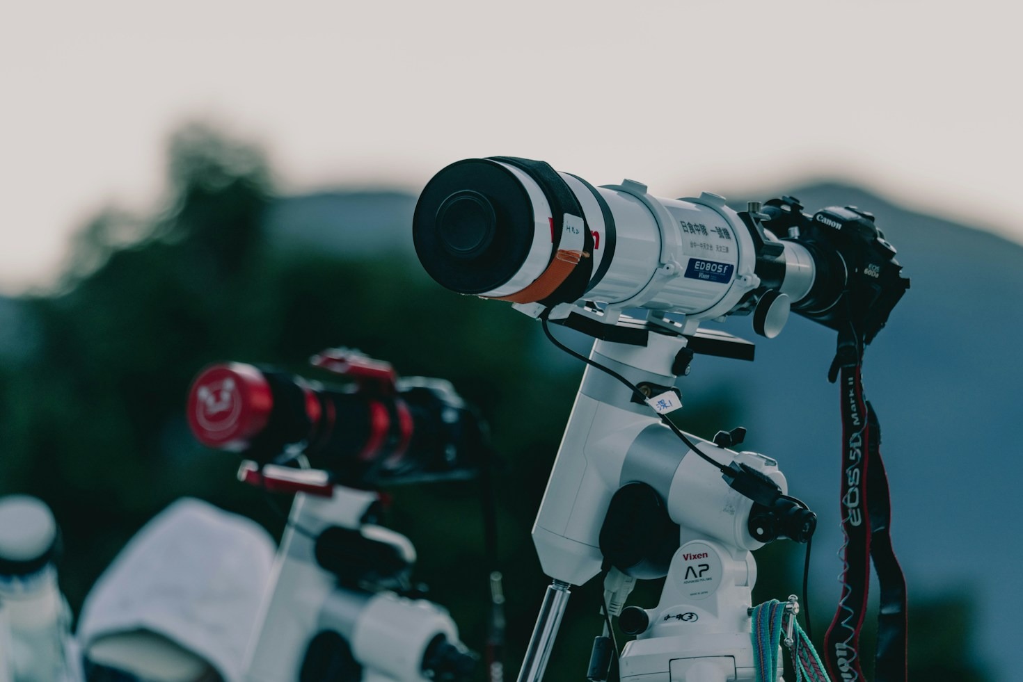 Monochrome Versus Color Cameras: What Yields the Best Detail?